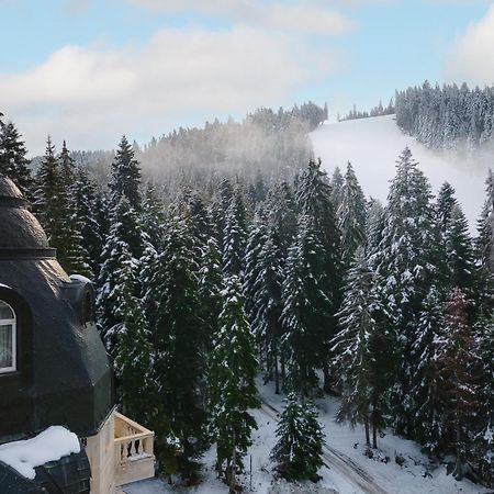 Festa Winter Palace Hotel Borowec Zewnętrze zdjęcie
